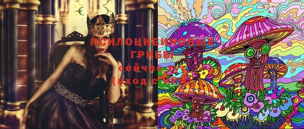 бутират Касимов