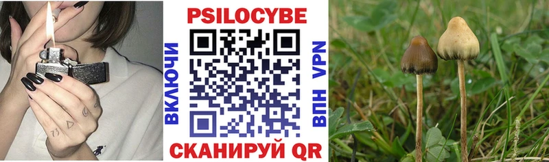 Галлюциногенные грибы Magic Shrooms  Купить где  Палласовка 